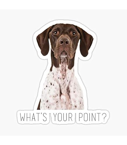thumbnail image 2 of Quail Hunter German Shorthaired Pointer Sticker – 8 Inch – J869 – EZSTIK Car Decal 2 of 6