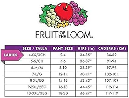 Fruit Of The Loom Women S Microfiber 10 Pack Hipster Panties At Amazon Women S Clothing Store