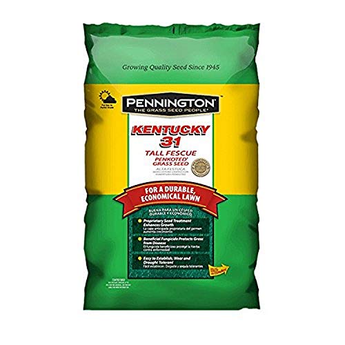 Pennington Kentucky 31 Tall Fescue Grass Seed, 5 LB Pricepulse