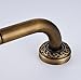 Rozin Antique Brass Tub Safety Grab Bar Wall Mount Handgrip