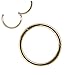 NewkeepsR 3PCS-1.0mm Rose Gold Anodised Hinged Clicker Nose Hoop Rings, 18G 316L Steel Seamless Segment Sleeper Earrings Piercing-8/9/10mm