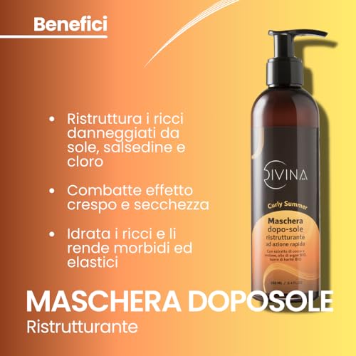 Curly Summer Complete Treatment Kit for Summer, Curly, Super Curly, Afro by Divina BLK, 4 Products