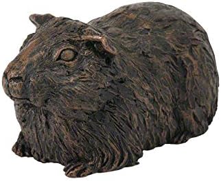 hills dog food coupons