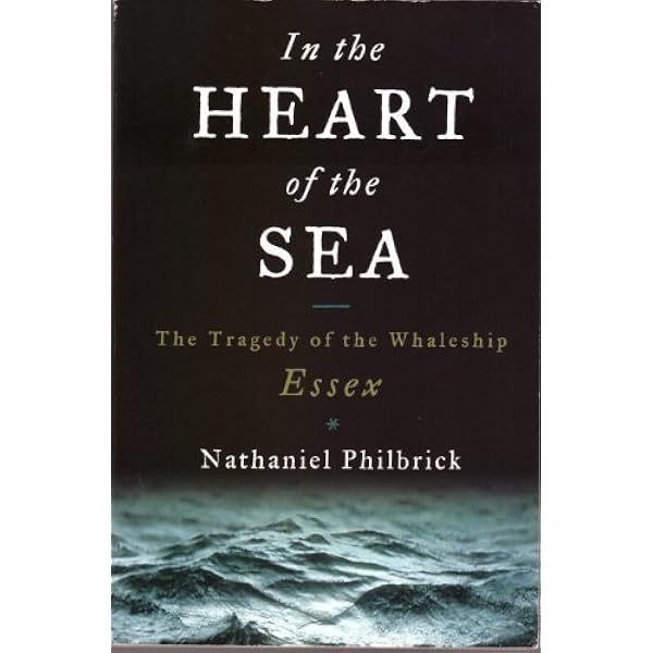 The Voyage of the Arctic Tern: Hugh Montgomery: 9780744594836