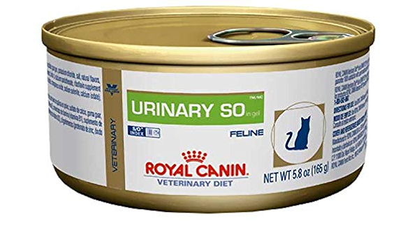 royal canin urinary so canned