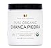 Complete Natural Products Organic Chanca Piedra Tea - 8oz (227g) Bulk Pure Organic Chanca Piedra Extract & Phyllanthus Niruri Stonebreaker Powder