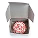 The Queen's Treasures 18 Inch Doll Bakery Food Accessories, Yummy Pink & White Party Cake with Authentic Bakery Box, Compatible with American Girl Pastry Bake Shop & Kitchen Furniture Accessories