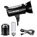 Neewer® 300W 5600K Bowens Mount Photo Studio Strobe Flash Light Monolight with Lamp Head for Studio,Location and Portrait Photography (SK300)