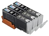 Skia Ink Cartridges ¨ 3 Pack Compatible with Canon 250 / 251(CLI-251GY) for PIXMA MG6320, PIXMA MG7120
