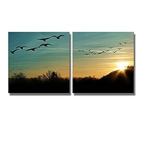 Canvas Prints Wall Art - Flock of Migrating Canada Geese Flying at Sunset in a V Formation | Modern Wall Art Stretched Gallery Canvas Wrap Giclee Print. Ready to Hang - 16" x 16" x 2 Panels