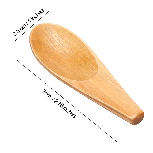 10 Pieces Wooden Scoop Solid Wood Condiment Spoon Mini Wood Spoon with