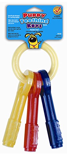 Nylabone N220 Puppy Teething Keys Dog Toy