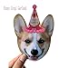 Gyzone Dogs Birthday Garland, Funny Corgi Face Portrait Birthday Banner, Dog Bday Bunting Decorations