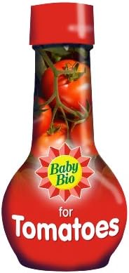 Baby Bio Tomato Food, Concentrate - 175 ml