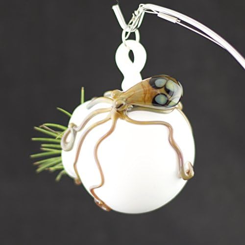 Octopus Glass Globe Hanging Terrarium in White &amp; Oil Slick #618