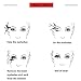 Natural Magnetic Eyelashes Kit, False Lashes Full Size No Glue Extension for Women Girls, Fake Magnetic Lashes Set with Tweezers or Applicator, 3 Magnetic
