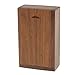 16GB Walnut Wood USB 2.0 Memory Stick Flash Drive with Wooden Box