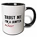 3dRose mug_195612_4 Trust me I'm almost a Lawyer - fun Law humor - funny student gift - Two Tone Black Mug, 11oz