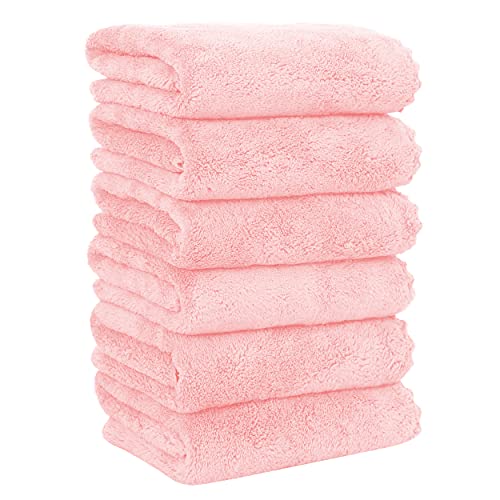 MOONQUEEN 6 Pack Premium Hand Towels - Quick Drying - Microfiber Coral Velvet Highly Absorbent Towels - Multipurpose Use as Hotel, Bathroom, Shower, Spa, Hand Towel 16 x 28 inches (Pink)