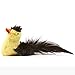 OurPets Play-N-Squeak Real Birds Pittsbird Interactive Cat Toy