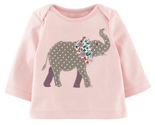 Fiream Girls' Cotton Crewneck Solid Long Sleeve T-shirt(7450TZ,6T)