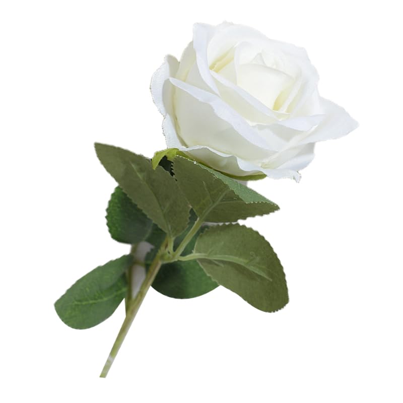 Jenngaoo Artificial Single Rose,Silk Flower Preserved Flower Single Stem Gift for Wedding Bouquet Anniversary Party Hotel Office Bouquet Decoration (White)