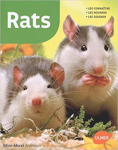Rats