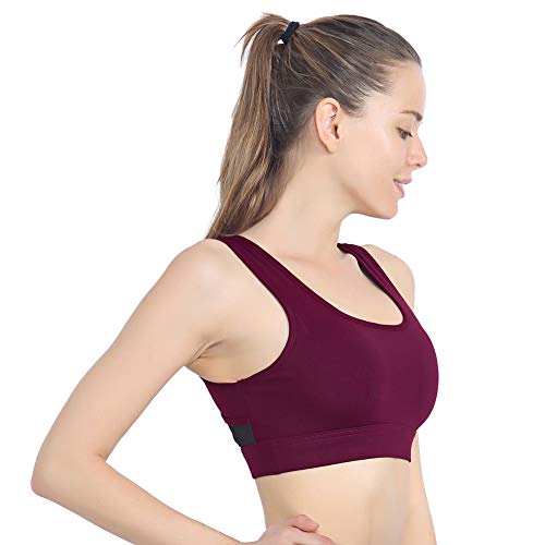 Top 10 Wine Rack Bra of 2020 No Place Called Home