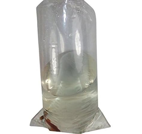 transporting tropical fish