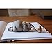 Top Collection Miniature Garden Elephant Reading Book with Owl, Gray