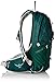 Osprey Tempest 9 Women's Hiking Backpack