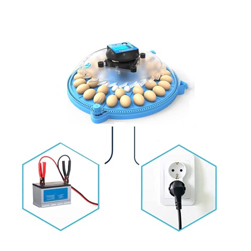 ALWUDI 48 Eier MotorbrüTer HüHner, 360-Grad-Ansicht Mini voll Eier Automatischer Brutapparat Brutmaschine für Hühner… – Bild 5