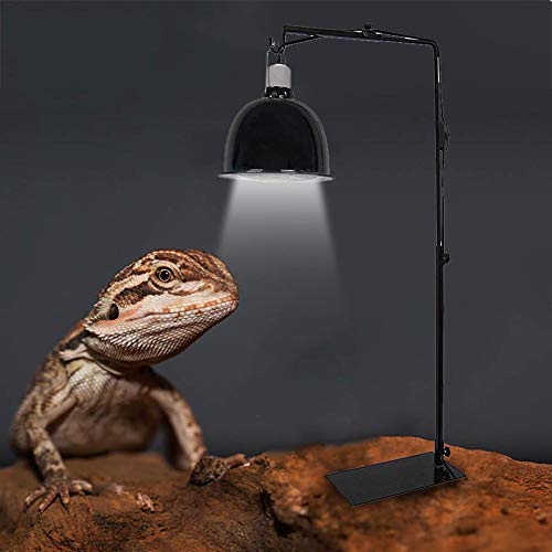 SHZONS Reptile Lamp Stand Adjustable Metal Floor Lamp Bracket for Succulent Lizard Tortoise Turtle