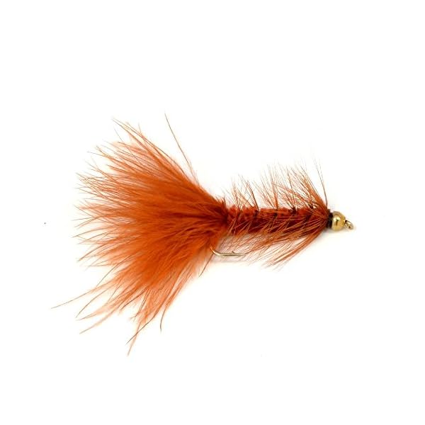 The-Fly-Fishing-Place-Bead-Head-Woolly-Bugger-Classic-Streamer-Flies-Set-of-12-Bass-and-Trout-Fly-Fishing-Flies-Hook-Size-4