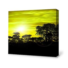 SIGNFORD Canvas Wall Art for Living Room,Bedroom Home...