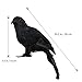 Halloween Black Feathered Crow Realistic Decorations Birds Figurine Statue Model (1PCS)