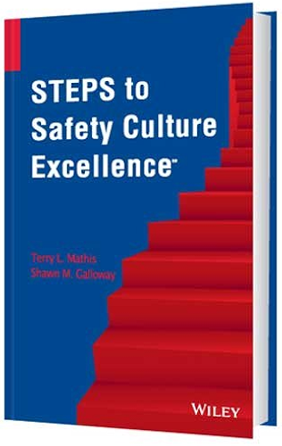 Download Steps to Safety Culture Excellence (English Edition) PDF