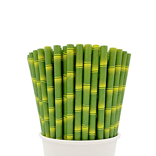 Easy Road 100Pack Biodegradable Paper Straws, Bamboo Printed Paper Drinking Straws for Juices, Shakes, Smoothies, Party Supplies, Birthday, Baby Shower Decorations, Food Safe BPA Free,7.8 Inches Long (Best Foods For Ra)