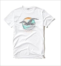 hollister slim fit t shirt