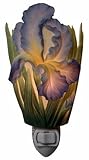 Bearded Iris Nightlight - Flowers of Light Ibis & Orchid Designs