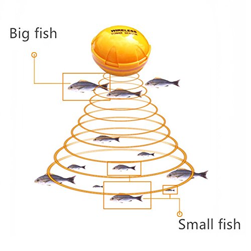 Jvsism Detecteur De Poissons Sonar Sans Fil Detection De Poissons Du Lac De Mer De Profondeur Ios Android App Trouver Du Poisson Sonar Intelligent Echosondeur