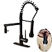 Rozin LED Light Pull Down Spray Kitchen Sink Faucet Swivel Spout Mixer Tap with 8