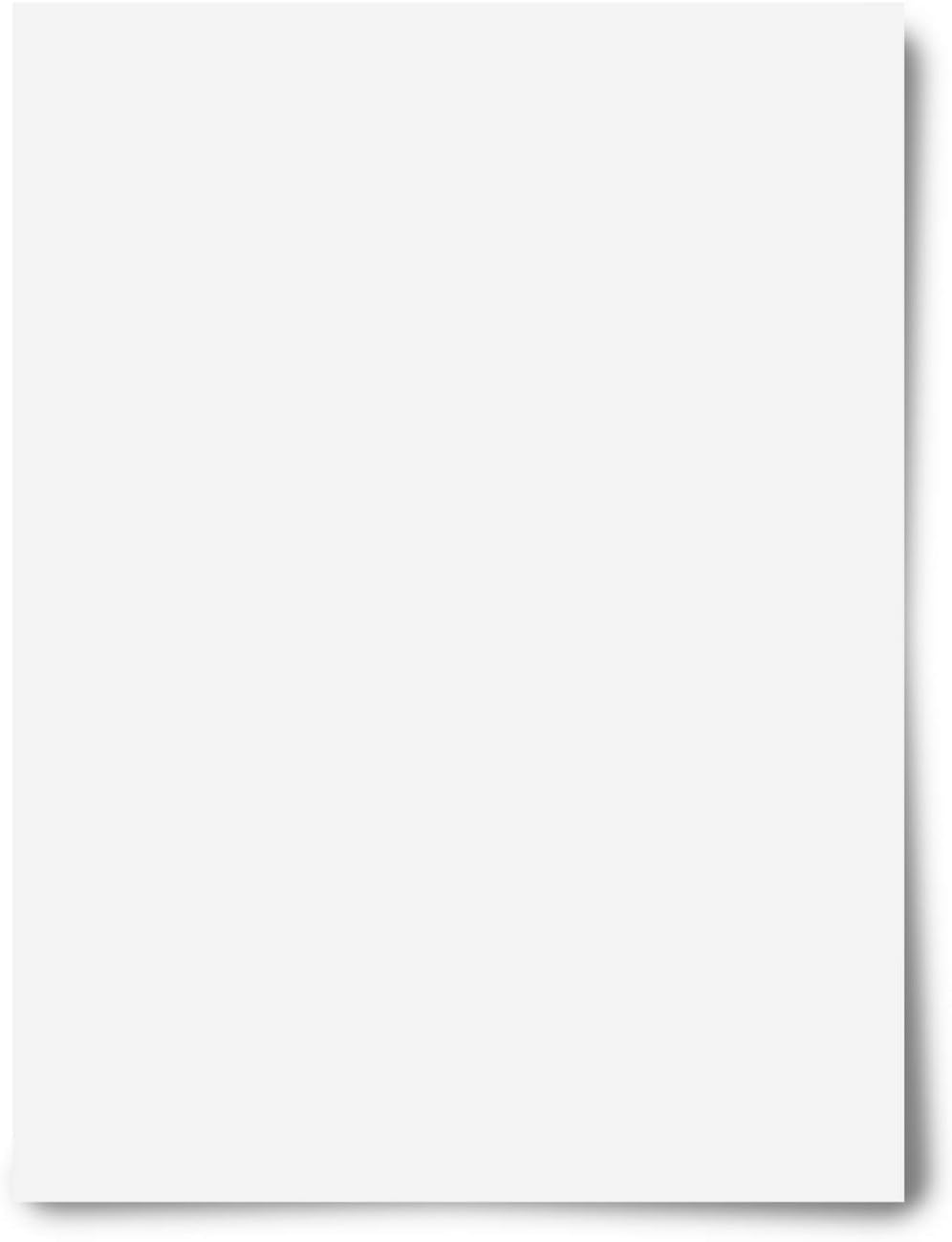 Royal Brites Poster Board Black, 22 x 28 Inches, 25-Sheets Case (24309) : Ordinary Display Boards : Office Products