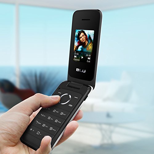 image for BLU Diva Flex - Flip phone - unlocked Dual Sim - White