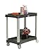 TRINITY EcoStorage 2-Tier Commercial Grade Utility Cart, Black