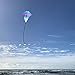 In the Breeze Fly-Hi Kite