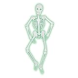 Mr Bones-A-Glo Skeleton Party Accessory (1 count) (1/Pkg)
