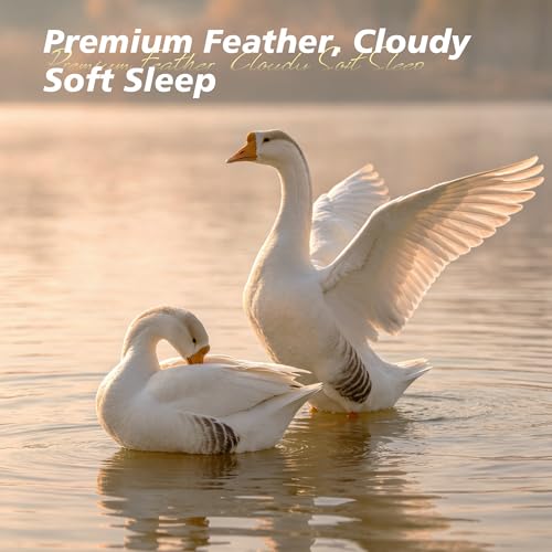 Mosluna Goose Feather Down Pillows King Size Set of 2, Hotel Collection Bed Pillows for Sleeping, Down Surrounded Gusseted Bed Pillow 2 Pack, Soft Fluffy for Side Back Sleepers 20x36 in.