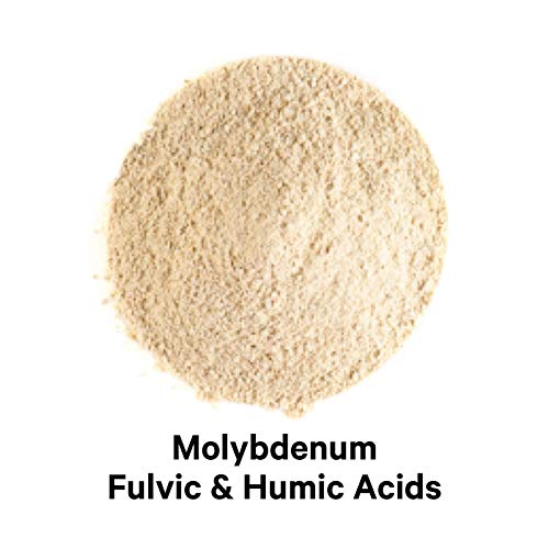 Codeage Binder + Systemic Binder Supplement Activated Charcoal Pills