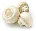 HIC Kitchen Mushroom Brush and Vegetable Scrubber, Dual-Textured Bristles